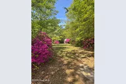 490 Springhill Church Road, Hamlet, NC 28345 - Photo 55
