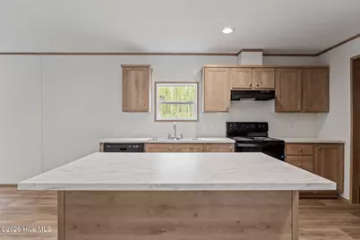 1735 Lynch Road, Hollister, NC 27844 - Photo 13