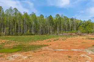 1755 Lynch Rd, Hollister, NC 27844 - Photo 35