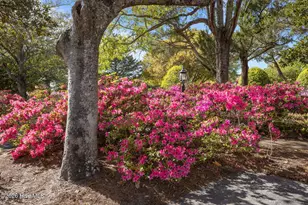 142 Corncake Cir, Morehead City, NC 28557 - Photo 43