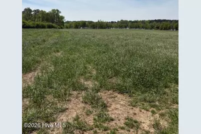 Tract 1 Leon Road, Nashville, NC 27856 - Photo 1