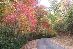 359 Whippoorwill Trail, Franklin, NC 28734 - Photo 35