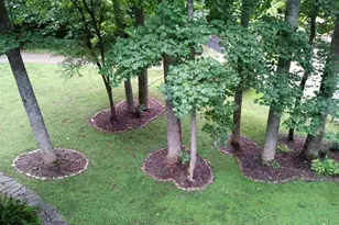 359 Whippoorwill Trail, Franklin, NC 28734 - Photo 37