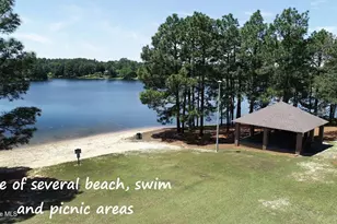 117 Devonshire Ave W, Seven Lakes, NC 27376 - Photo 47