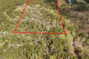 306 Brinley Pl, Maple Hill, NC 28454 - Photo 69