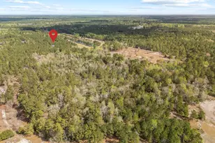 306 Brinley Pl, Maple Hill, NC 28454 - Photo 67