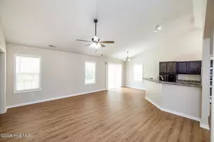 1017 Bally Bunion Lane, Burgaw, NC 28425 - Photo 7