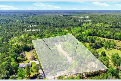 375 Wolfridge Road NE, Leland, NC 28451 - Photo 3