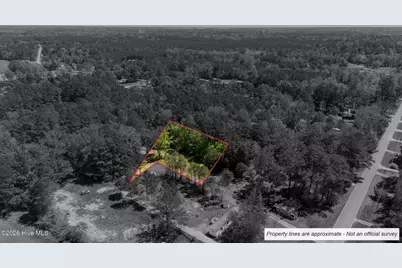 Tract 2 Foy Lockamy Road, Jacksonville, NC 28540 - Photo 13