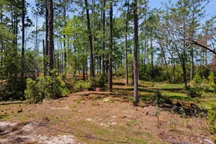 5430 Creek Pointe Rd, New Bern, NC 28560 - Photo 35