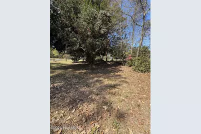 503 Casey Mill Road, Dudley, NC 28333 - Photo 5
