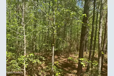 [Address not provided], Wadesboro, NC 28170 - Photo 23