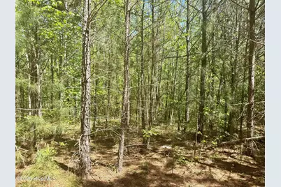[Address not provided], Wadesboro, NC 28170 - Photo 27