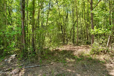 [Address not provided], Wadesboro, NC 28170 - Photo 9