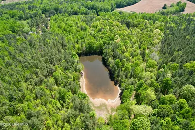 [Address not provided], Wadesboro, NC 28170 - Photo 13
