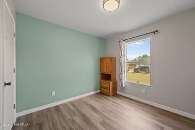 166 Haystack Branch Lane, Beulaville, NC 28518 - Photo 25