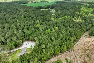 193 Alonza Ln, Richlands, NC 28574 - Photo 45