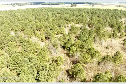 0 Black Mingle Road, Gates, NC 27937 - Photo 19
