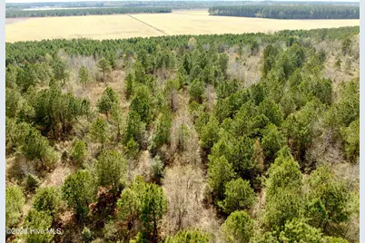 0 Black Mingle Road, Gates, NC 27937 - Photo 3