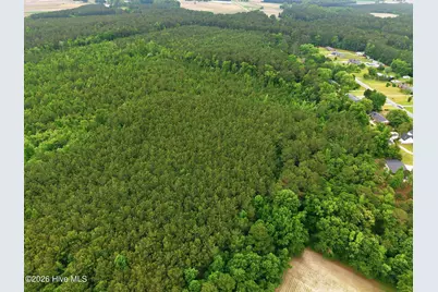 0 Off Gay Road, Walstonburg, NC 27888 - Photo 7