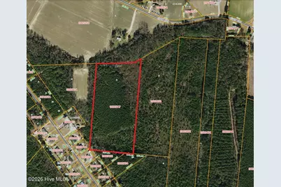 0 Off Gay Road, Walstonburg, NC 27888 - Photo 11