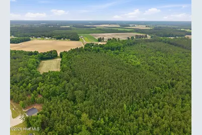 0 Off Gay Road, Walstonburg, NC 27888 - Photo 3