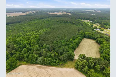 0 Off Gay Road, Walstonburg, NC 27888 - Photo 9