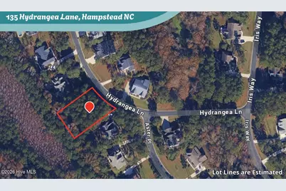 135 Hydrangea Lane, Hampstead, NC 28443 - Photo 1