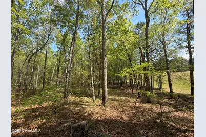 1016R Cedar Lane, Seven Lakes, NC 27376 - Photo 9