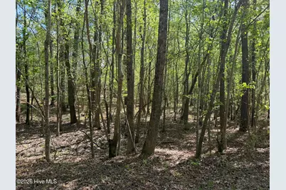 1016R Cedar Lane, Seven Lakes, NC 27376 - Photo 23
