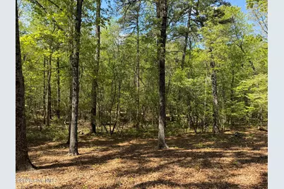 1016R Cedar Lane, Seven Lakes, NC 27376 - Photo 19