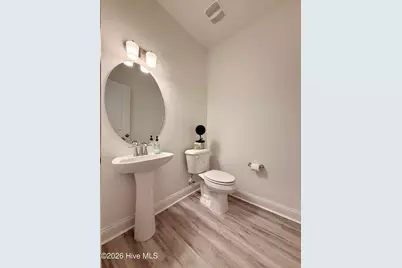 223 Laborde Lane, Raeford, NC 28376 - Photo 19