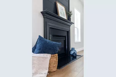 438 Scrub Oaks Drive, Hampstead, NC 28443 - Photo 9