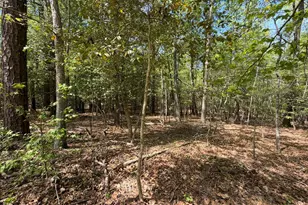 1012R Cedar Ln, Seven Lakes, NC 27376 - Photo 1