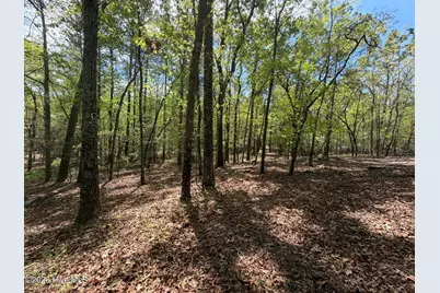 1014R Cedar Lane, Seven Lakes, NC 27376 - Photo 3