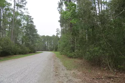 336 Mills Road, Oriental, NC 28571 - Photo 29