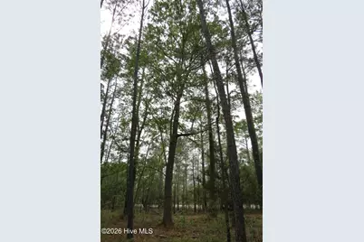 336 Mills Road, Oriental, NC 28571 - Photo 13