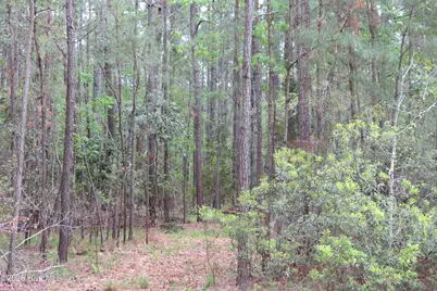 336 Mills Road, Oriental, NC 28571 - Photo 7