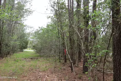 336 Mills Road, Oriental, NC 28571 - Photo 15