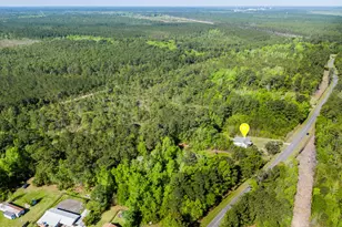 866 Harrison Creek Rd, Rocky Point, NC 28457 - Photo 39