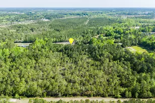 866 Harrison Creek Rd, Rocky Point, NC 28457 - Photo 41