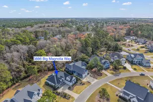 3886 Big Magnolia Way, Southport, NC 28461 - Photo 43