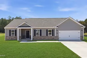 10650 Beard Wy, Bailey, NC 27807 - Photo 1