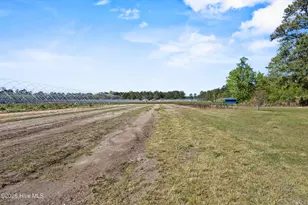 3740 Tuckahoe Rd, Ivanhoe, NC 28447 - Photo 45