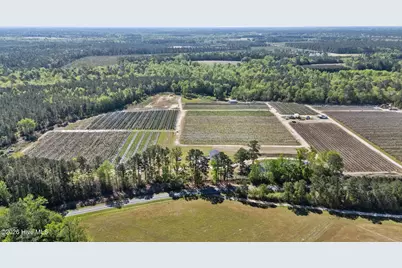 3740 Tuckahoe Road, Ivanhoe, NC 28447 - Photo 55