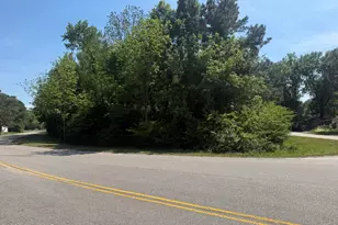 1519 Brickyard Rd, Whiteville, NC 28472 - Photo 1