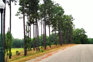 125 Mullingar Dr, Carthage, NC 28327 - Photo 55