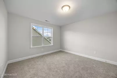 332 Gerbera Court, Greenville, NC 27858 - Photo 19