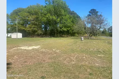 145 Alum Springs Road, Mount Olive, NC 28365 - Photo 1