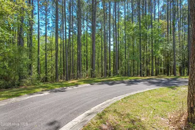 514 Astoria Lane SE, Bolivia, NC 28422 - Photo 1
